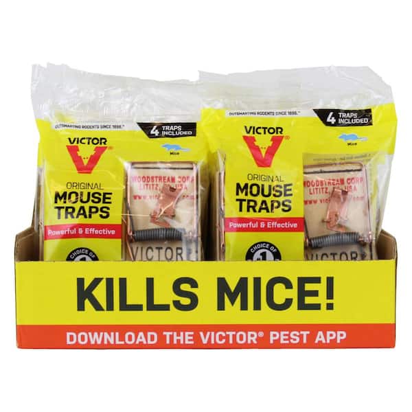 Victor Metal Pedal Indoor and Outdoor Sustainably Sourced FSC Wood Snap Mouse  Trap (4-Count) M156 - The Home Depot