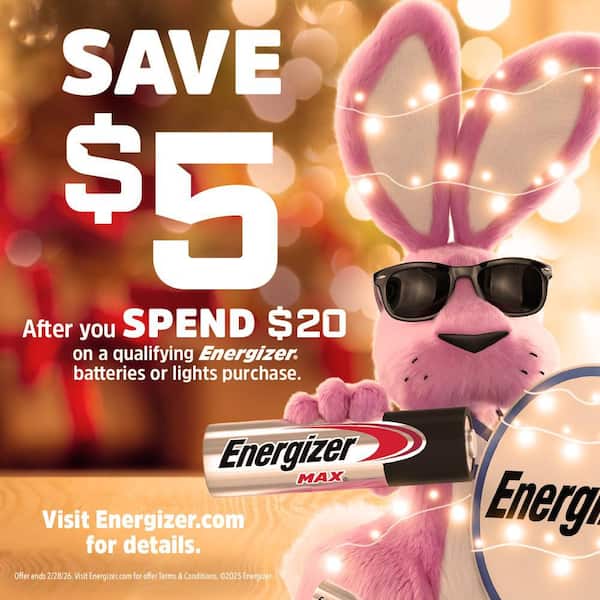 MAX Emergency Bundle with C (4-Pack), D (4-Pack) and 9-Volt (6-Pack) Batteries