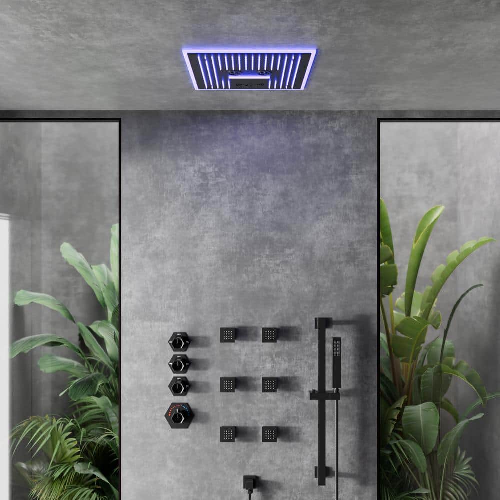 EVERSTEIN 17-Spray 16 in. Dual Shower Heads Ceiling Mount Fixed and ...