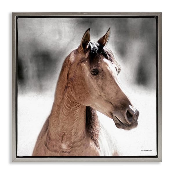 Stupell Industries Brown Foal in Snow by Kari Brooks 1 Piece Floater Frame Graphic Print Animal Poster Art Print 18 in. x 18 in.