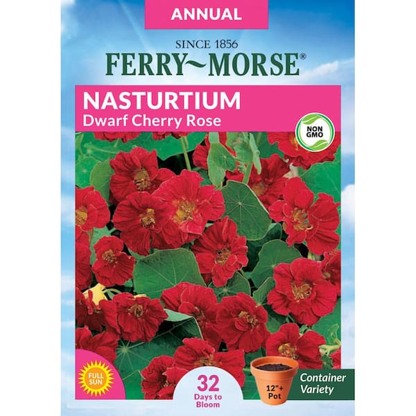 Ferry-Morse Nasturtium Cherry Rose Dwarf Flower Seed