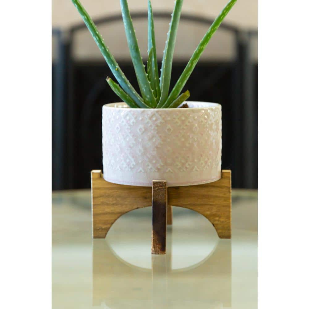 Pink Ceramic Round Planter with Wood Stand, 6.25"