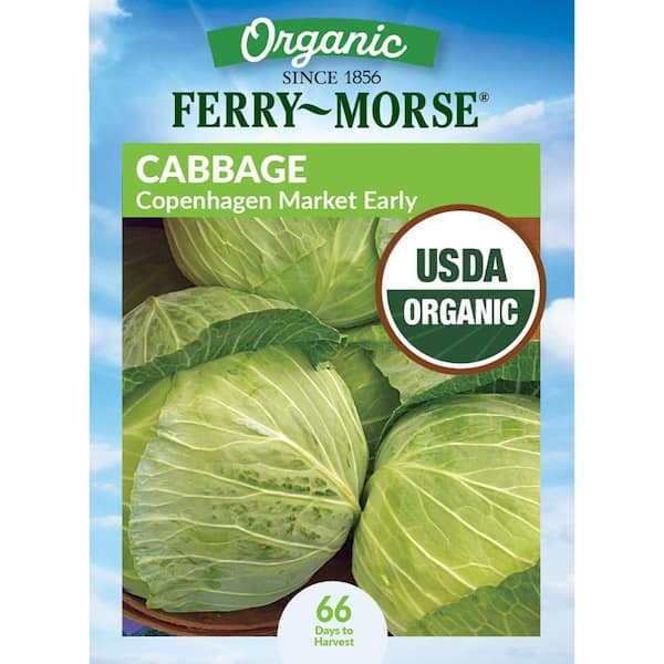 Organic Cabbage Copenhagen Market Early Vegetable Seeds