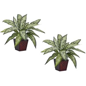 12 in. Artificial H Green Silver Queen Silk Plant (Set of 2)