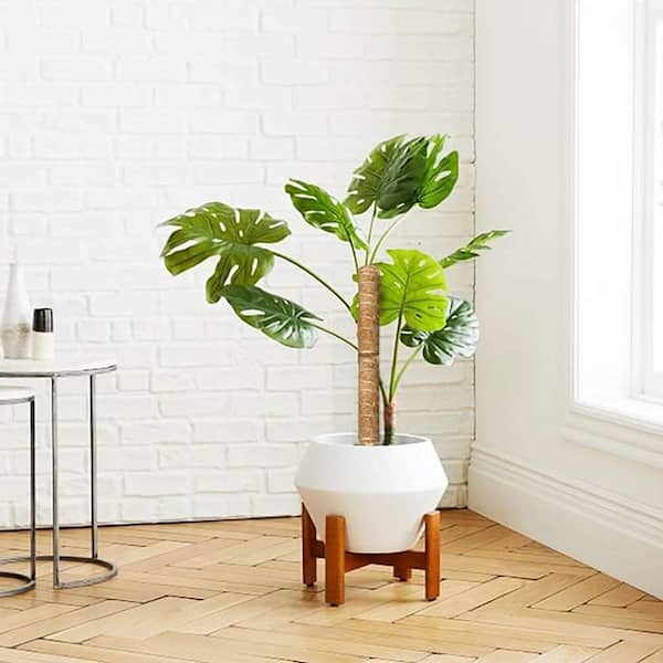 EVEAGE 30 in. Moss Pole Plant Support with 65 ft. Garden Twist Tie