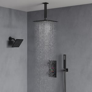 3-spray Dual Shower Head and Handheld Shower Head with LCD Temperature Display in Matte Black(Valve Included)