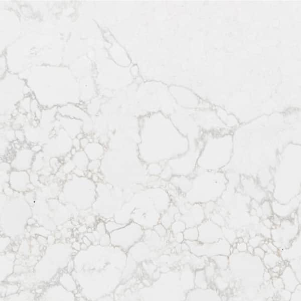 VIATERA 3 in. L x 3 in. D Quartz Countertop Sample in Adagio Gold