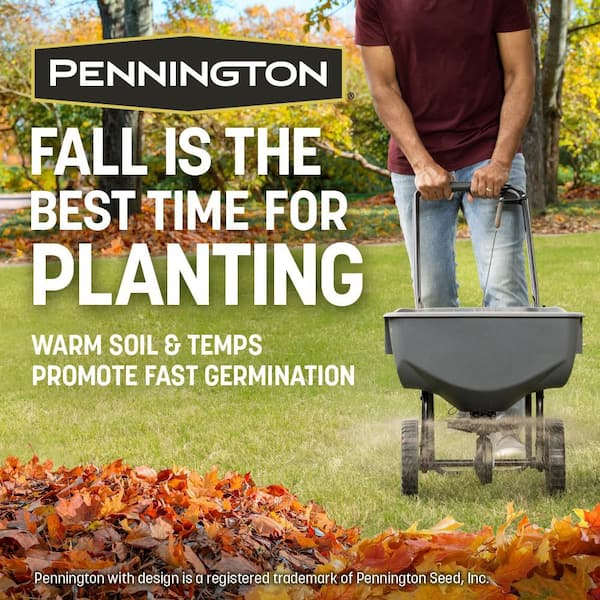 Pennington Central Contractors Mix 40 lb. 8,000 sq. ft