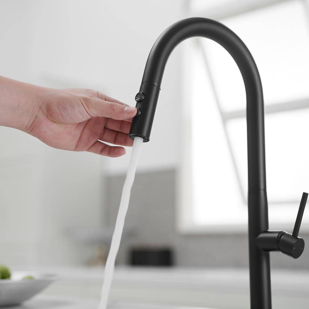 Matte Black Brass High Arc Single Handle Kitchen Faucet