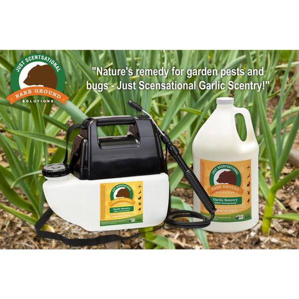 funny plant quotes let that shit grow plant sticker, funny gardening sticker, gardening q –  exit343design