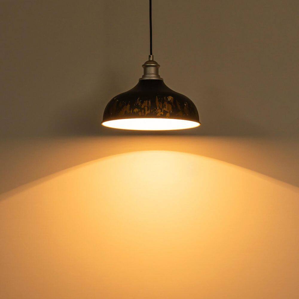 11.42 in. 1-Light Aged Silver Pendant with Handmade Weathered Black Dome Metal Shade price history on PriceWatchPro