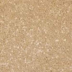 Sycamore II - Popular - Beige 58 oz. SD Polyester Texture Installed Carpet