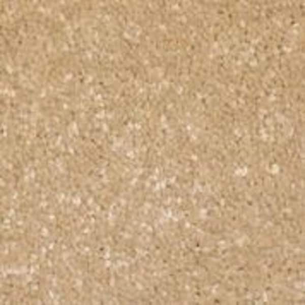 Home Decorators Collection Sycamore II - Popular - Beige 58 oz. SD Polyester Texture Installed Carpet
