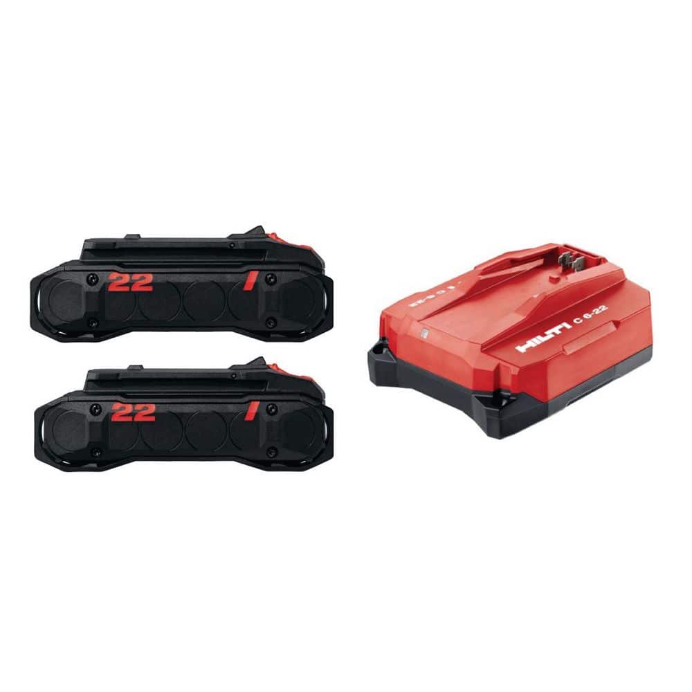 22V NURON B22-85 4.0 Ah Rechargeable Lithium‑Ion Battery and Charger Kit (2 Batteries) price history on PriceWatchPro