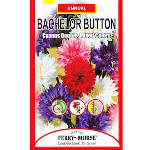 Bachelor Button Double Mixed Colors Seed