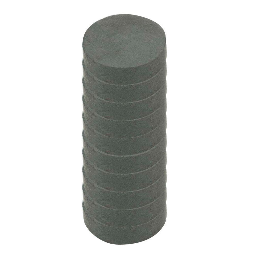 1/2 in. Dia Neodymium Rare-Earth Magnet Discs with Foam Adhesive (8-Pack)