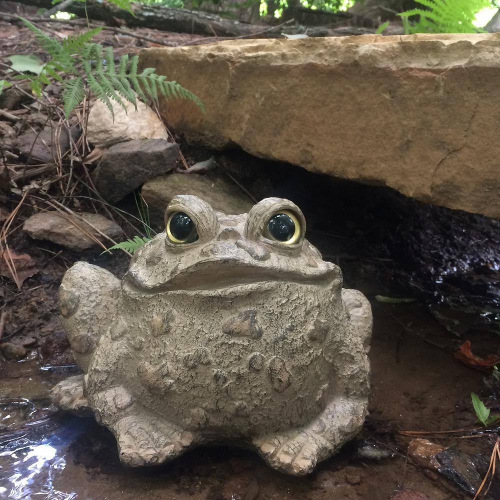 Natural Brown Large Classic Toad Garden Statue