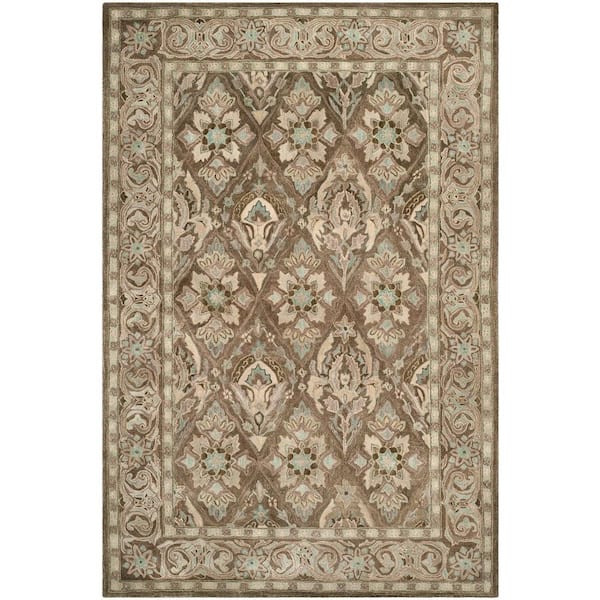 SAFAVIEH Anatolia Brown/Beige 4 ft. x 6 ft. Border Area Rug