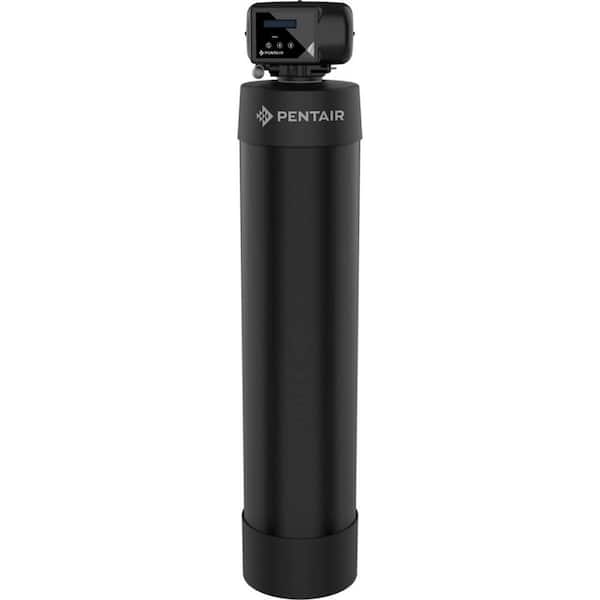 PENTAIR Whole House Iron Reduction Water Filtration System for 1 to 2 Bathrooms