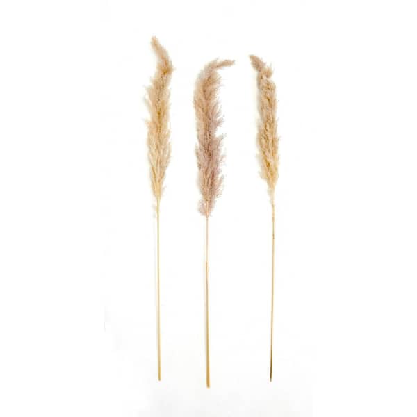 Unbranded 42 in. Artificial Plant Tall Natural Glow Stick Pampas Grass, (Set of 6)