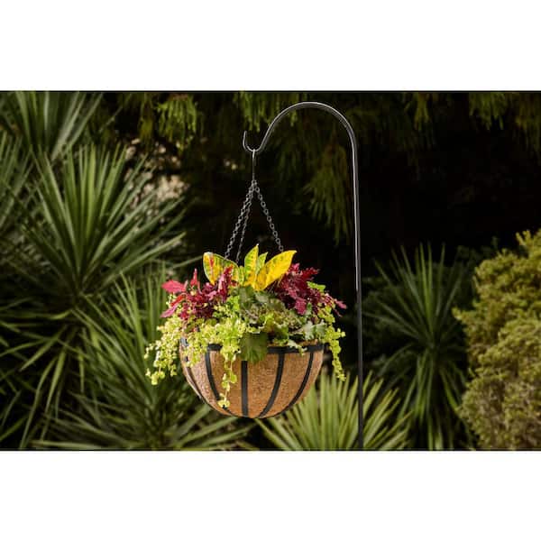 English Large Black Metal Hanging Round Planter with Coco Liner (16 in. L x 16 in. W x 7.5 in. H)