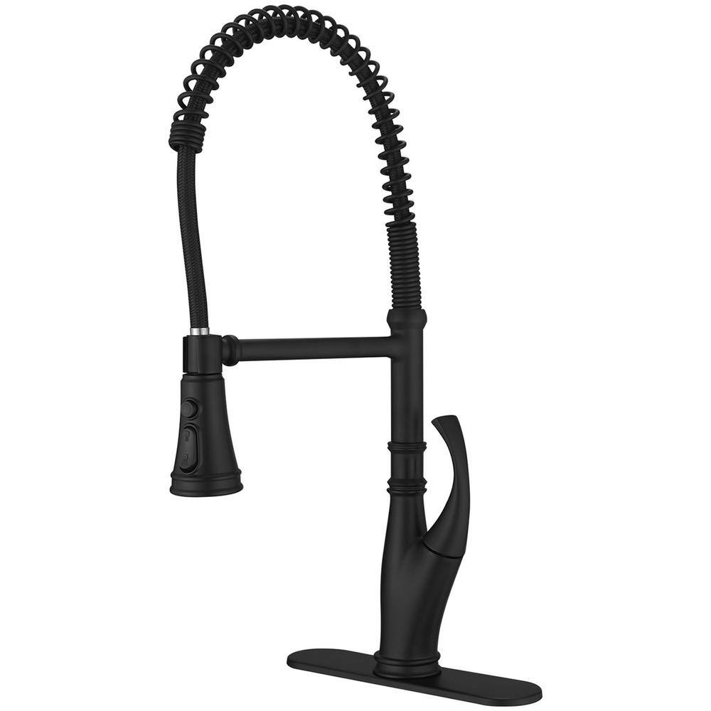 Single Handle Pull Down Sprayer Kitchen Faucet with Advanced Spray Brass Commercial Kitchen Sink Faucets in Matte Black price history on PriceWatchPro