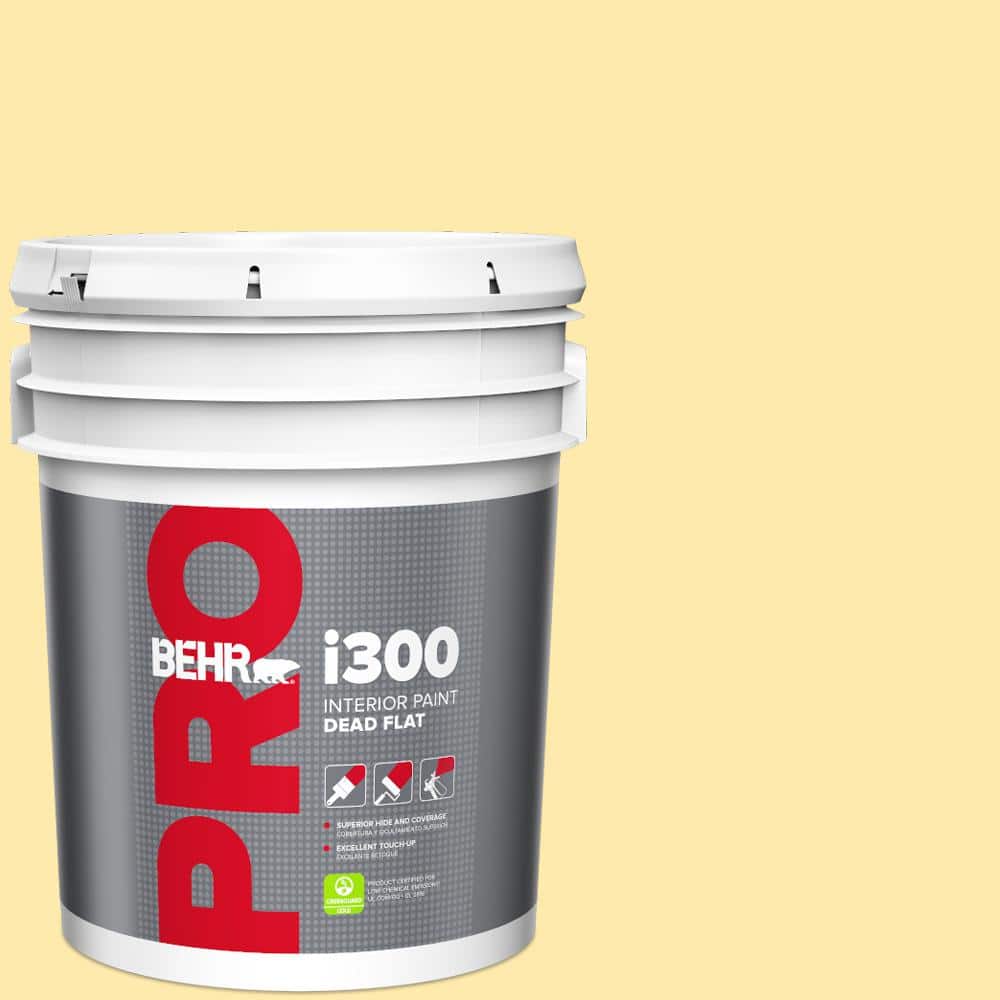 5 gal. #360A-3 Banana Split Dead Flat Interior Paint price history on PriceWatchPro