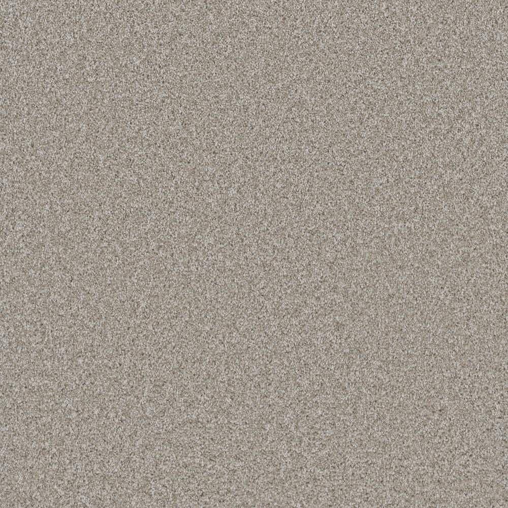 8 in. x 8 in. Texture Carpet Sample - Trendy Threads Plus I -Color Durango price history on PriceWatchPro