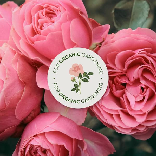 Garden Safe 32 oz. Rose and Flower Ready-to-Use HG-93212 - The