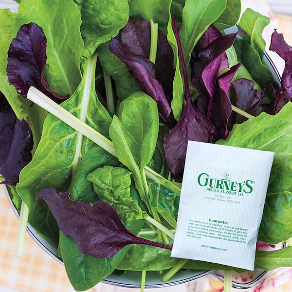 Mixed Greens Seed Pack