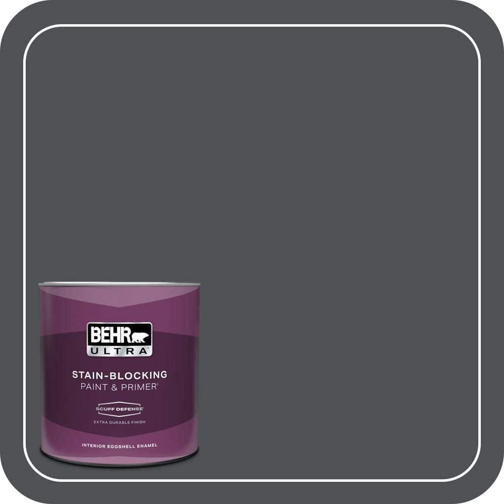 1 qt. Home Decorators Collection #HDC-WR15-4 Lump of Coal Extra Durable Eggshell Enamel Interior Paint & Primer price history on PriceWatchPro