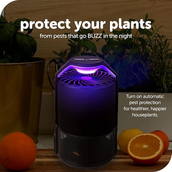 Misopily Black Indoor Insect Trap, Midnight Auto Mode Fan Powered