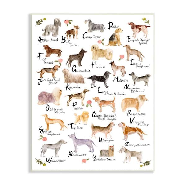 Stupell Industries "Chic Alphabet of Dogs with Floral Detail" by Melissa Wang Unframed Animal Wood Wall Art Print 13 in. x 19 in.