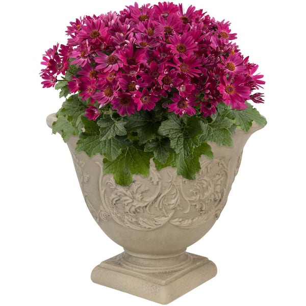 Sunnydaze Decor 16 in. Beige Darcy Poly Flower Pot Planter Single DG-783  The Home Depot
