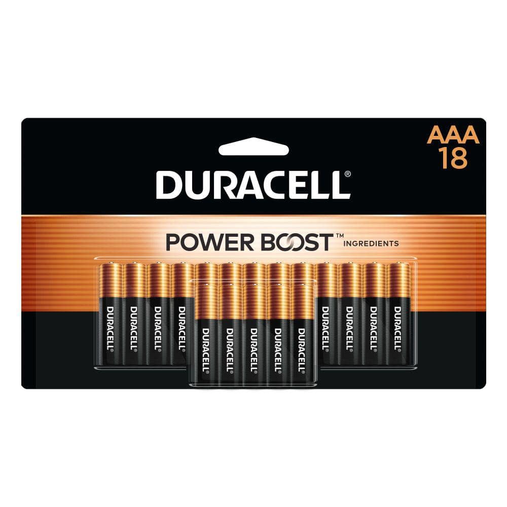 Duracell Coppertop Alkaline AAA Battery (18-Pack), Triple A Batteries  004133303623 - The Home Depot