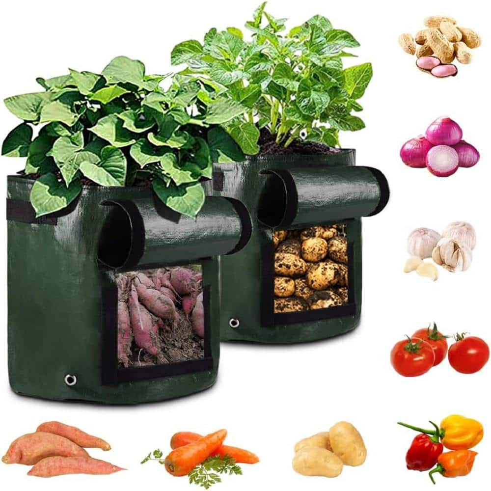 Cubilan 10 Gal. Green Planter Potato Grow Bag, Heavy-Duty