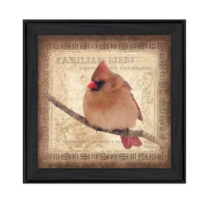Female Cardinal by Unknown 1 Piece Framed Graphic Print Animal Art Print 15 in. x 15 in. .