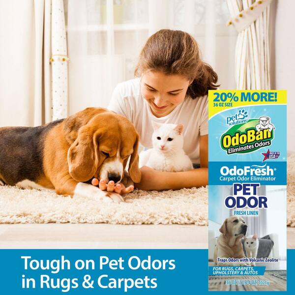 Good Natured Brand Carpet Freshener - 31oz Pet Odor Eliminator Powder Lemon Scent