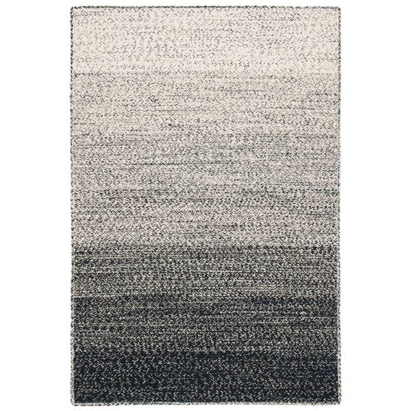 Natural Fiber 4 ft. x 6 ft. Natural/Black Ombre Area Rug