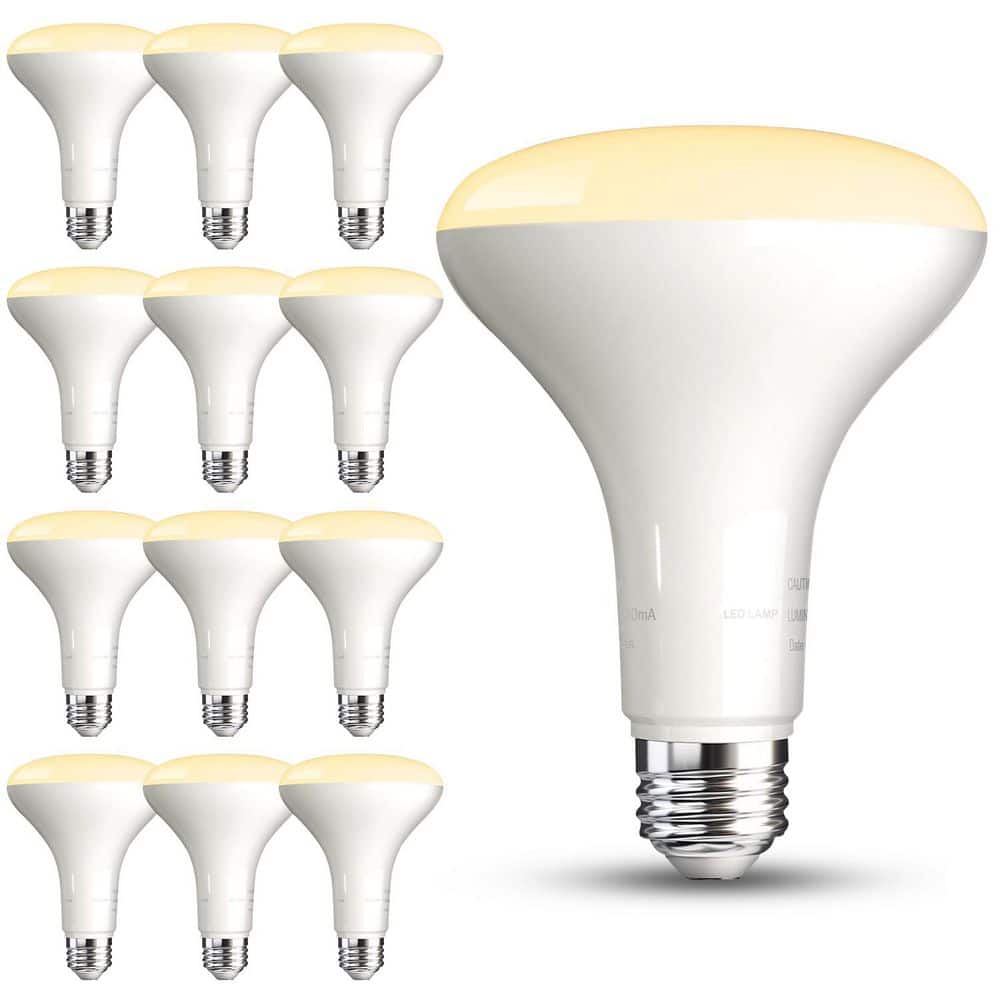 12 Pack BR30 LED Recessed Light Bulb, Dimmable 9W 65W Equivalent, 2700K Soft Warm White, E26 Base, 800 LM Home Lighting price history on PriceWatchPro