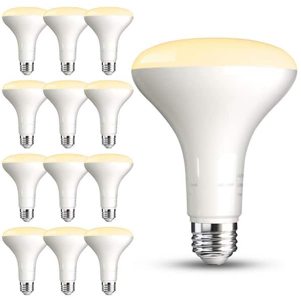 12 Pack BR30 Light Bulb, 65W Equivalent Dimmable Led Recessed Lights Bulb,2700K Soft Warm White, E26 Base Bulbs 9W,800LM