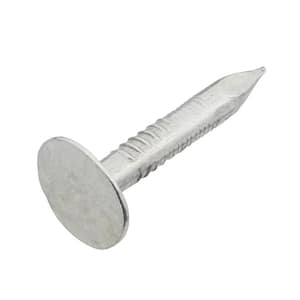 3/4 in. Roofing Nails Electro-Galvanized 1 lb (Approximately 268 Pieces)