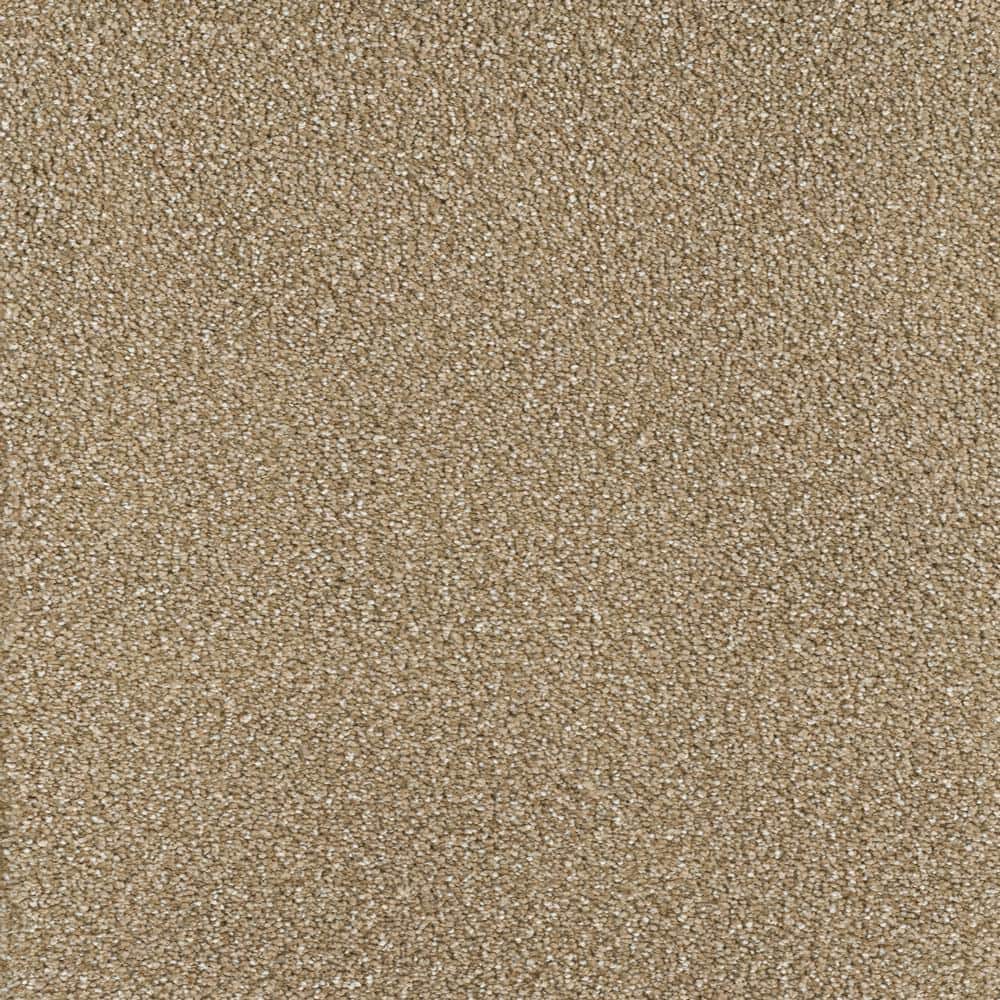 8 in. x  8 in. Texture Carpet Sample - Spicework II -Color Granby price history on PriceWatchPro