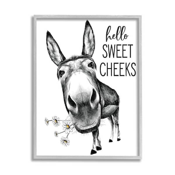 Stupell Industries "Hello Sweet Cheek Animal Humor Donkey Daisy" by Lettered and Lined Framed Animal Texturized Art Print 16 in. x 20 in.