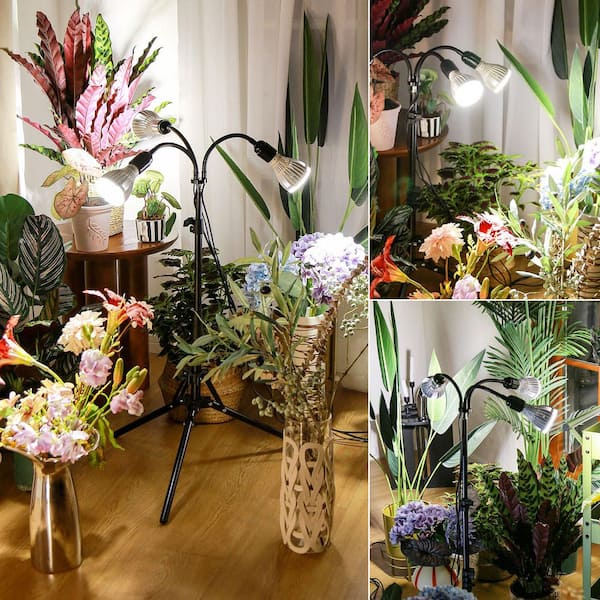 Grow ロングボード Grow ロングボード