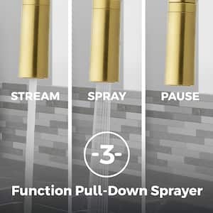 Zanna Single Handle Pull Down Sprayer Kitchen Faucet with Deckplate and Soap Dispenser in Brushed Gold
