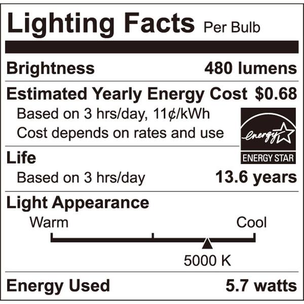 ecosmart 40w led daylight