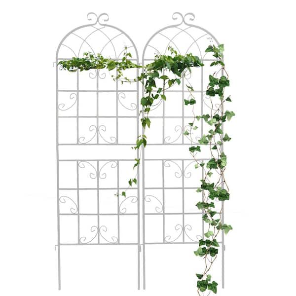 TUYOHW Plant Trellis for Climbing Plants, 19.7 in.L x 71 in.H Garden Metal Trellis for Potted Plants Outdoor (White, 2 Pack)