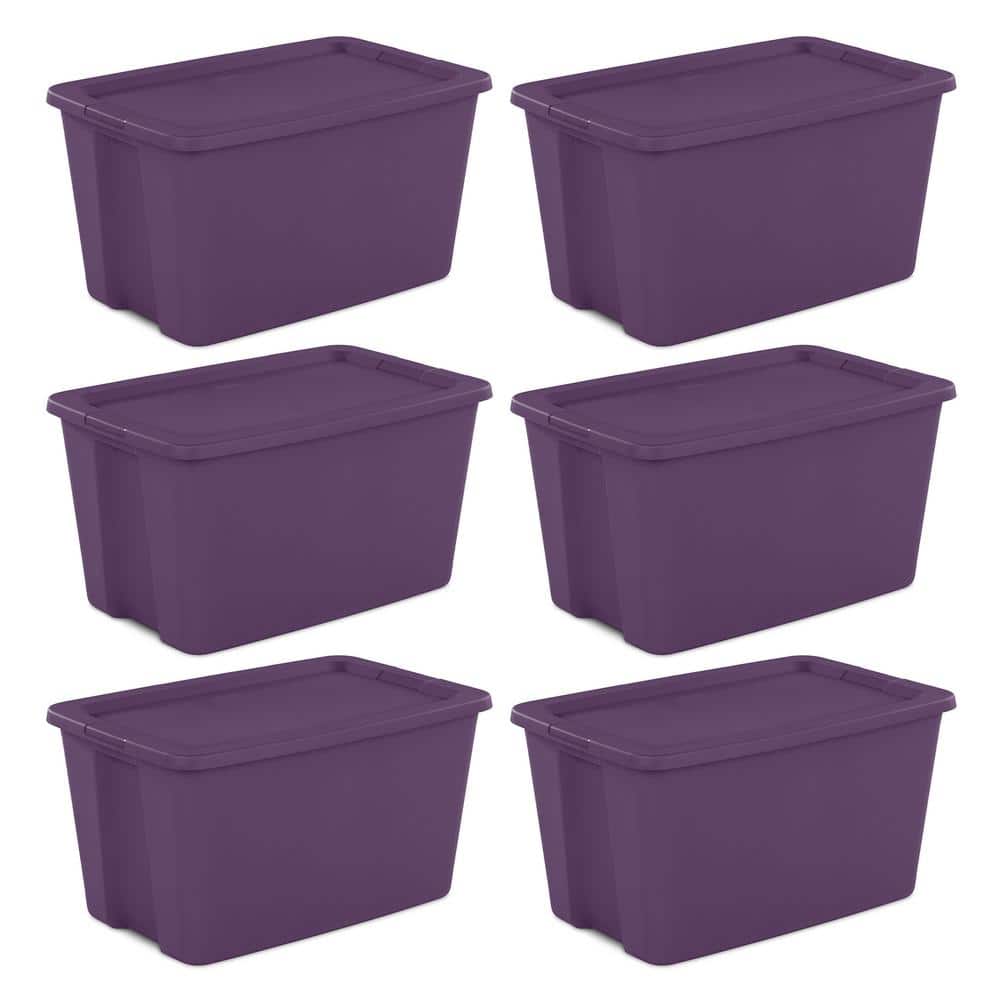 Sterilite 30 Qt Clear Plastic Stackable Storage Bin with Grey Latch Lid, 6  Pack, 6pk - King Soopers