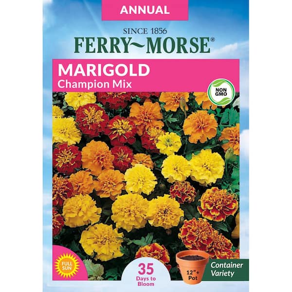 Ferry-Morse Marigold Champion Mix Flower Seeds